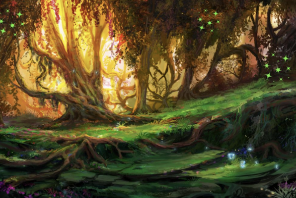 Enchanted Forest