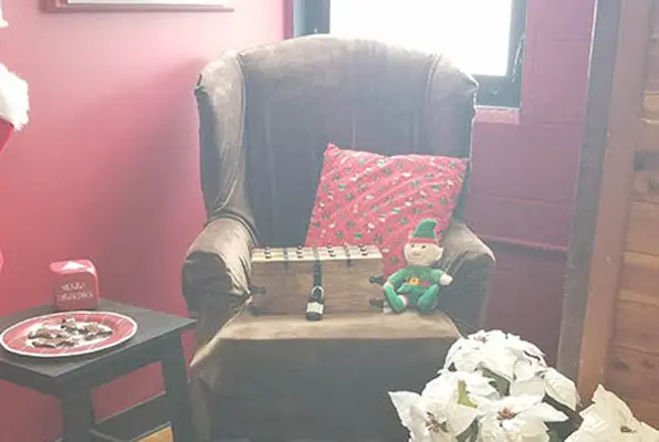 The Mischevious Elves
