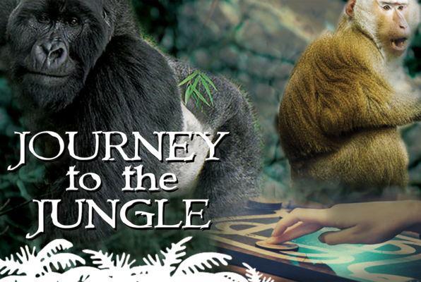 Journey to the Jungle