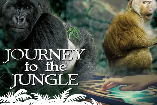 Journey to the Jungle