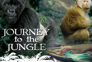 Journey to the Jungle