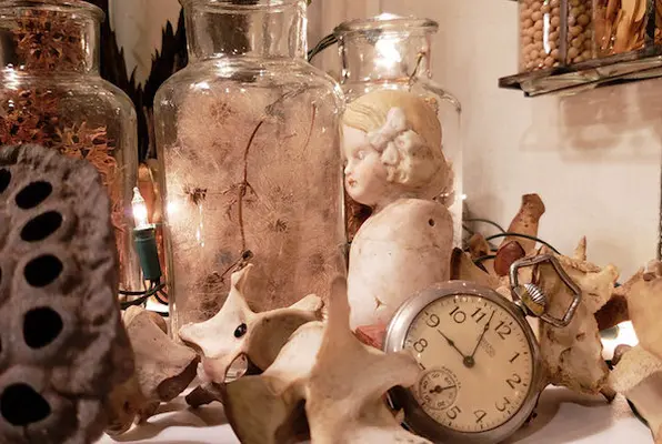 The Botanist (Stratton Escape Room) Escape Room