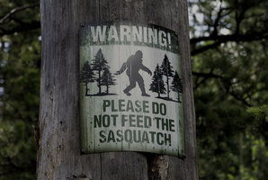 Квест SOS: Sasquatch on Site