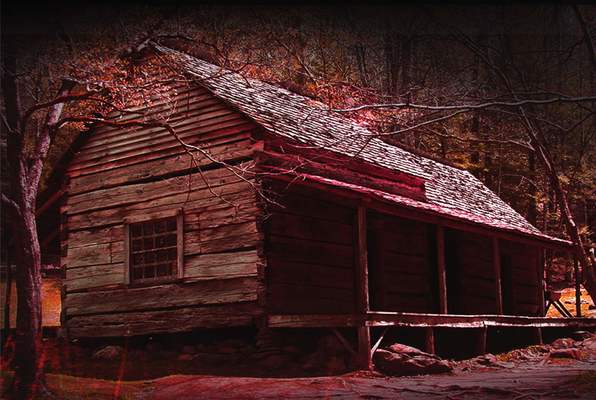 Cabin In The Woods (Mystery Rooms Guwahati) Escape Room