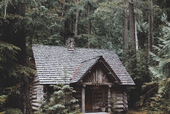 Cabin in the Woods