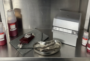 Квест Neues Testament