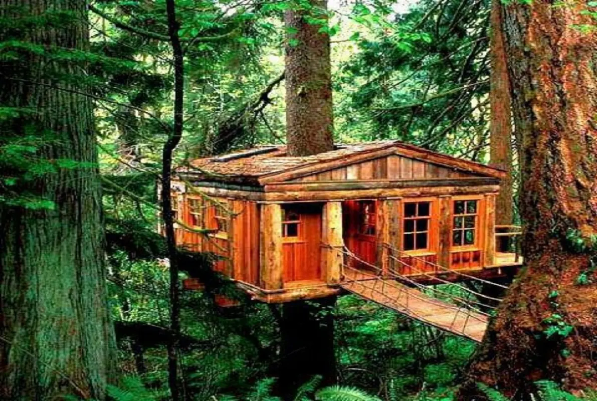 Idaho Cabin Escape