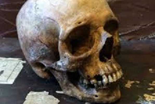 Escape The Dead (Escape Adventure) Escape Room