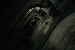 The Asylum