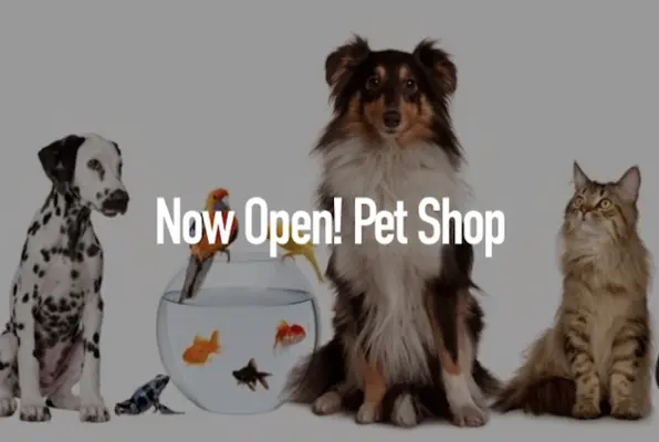 Pet Shop (Escape Room Vail) Escape Room