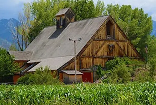 Fun E Farm (I-20 Escape) Escape Room