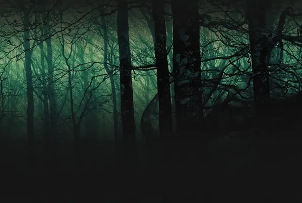 Láthatatlan Erdő (Paniq Szoba) Escape Room