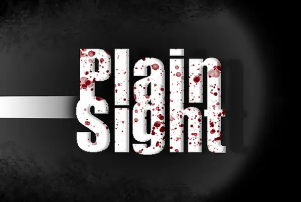 Plain Sight (PuzzleMazement) Escape Room