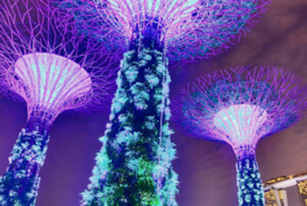 Geheimbund Singapur Online