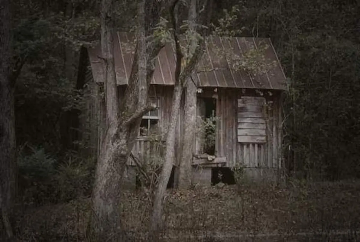 The Cabin