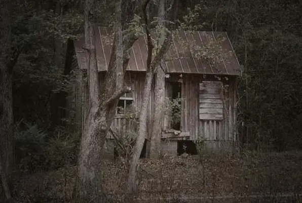 The Cabin (Escape Prince Albert) Escape Room