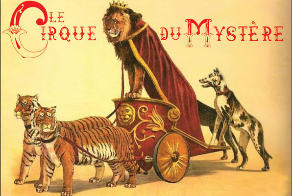 Cirque du Mystère (Escape Social) Escape Room