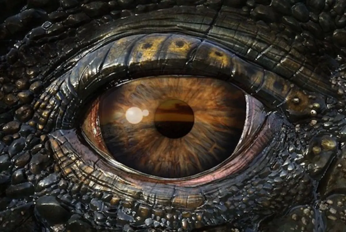 Belly of the Beast: Awakening the Dragon