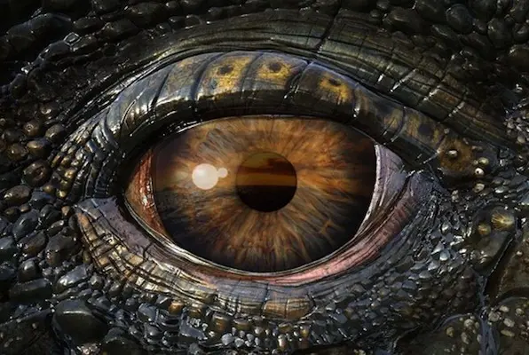 Belly of the Beast: Awakening the Dragon (The Factory) Escape Room