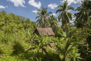 Квест Cabin In The Jungle