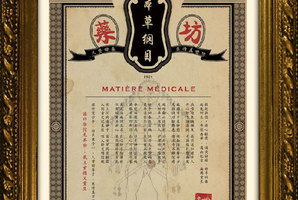 Квест Matière Médicale