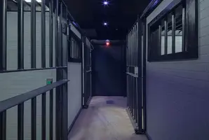 Prison Escape