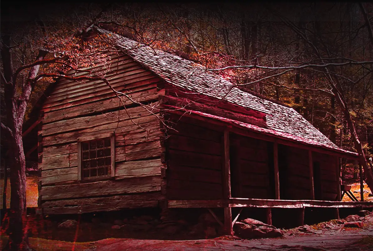 Cabin In The Woods