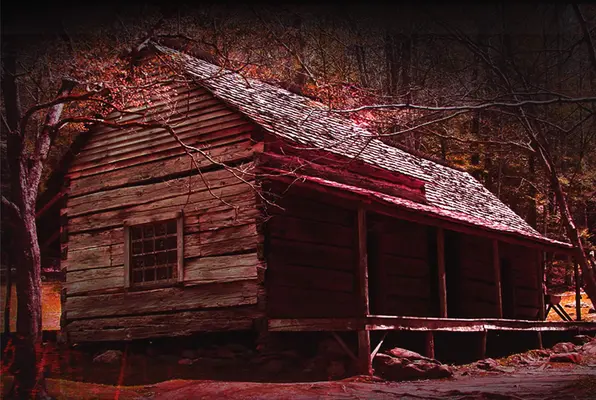 Cabin In The Woods (Mystery Rooms Ludhiana) Escape Room