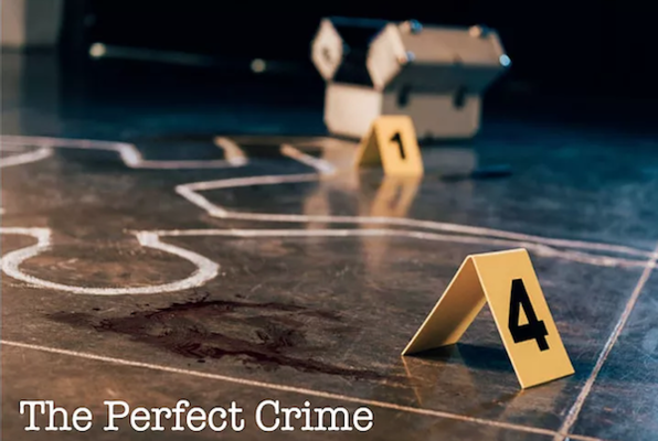 The Perfect Crime