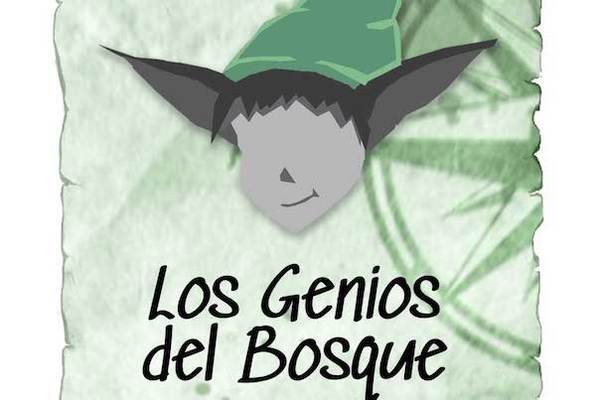 Los Genios del Bosque (Sala Enigma Basaburua) Escape Room