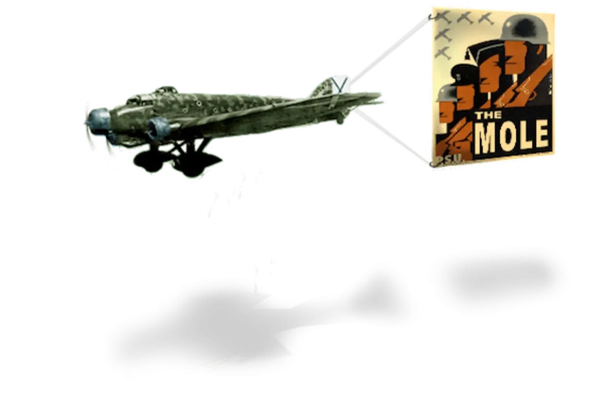 The Mole