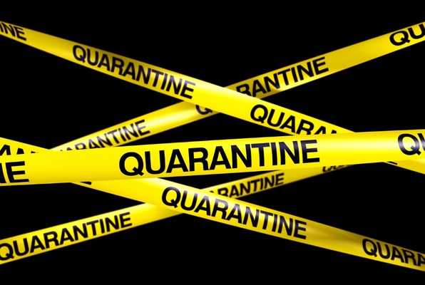 The Quarantine (PANI.Q.) Escape Room