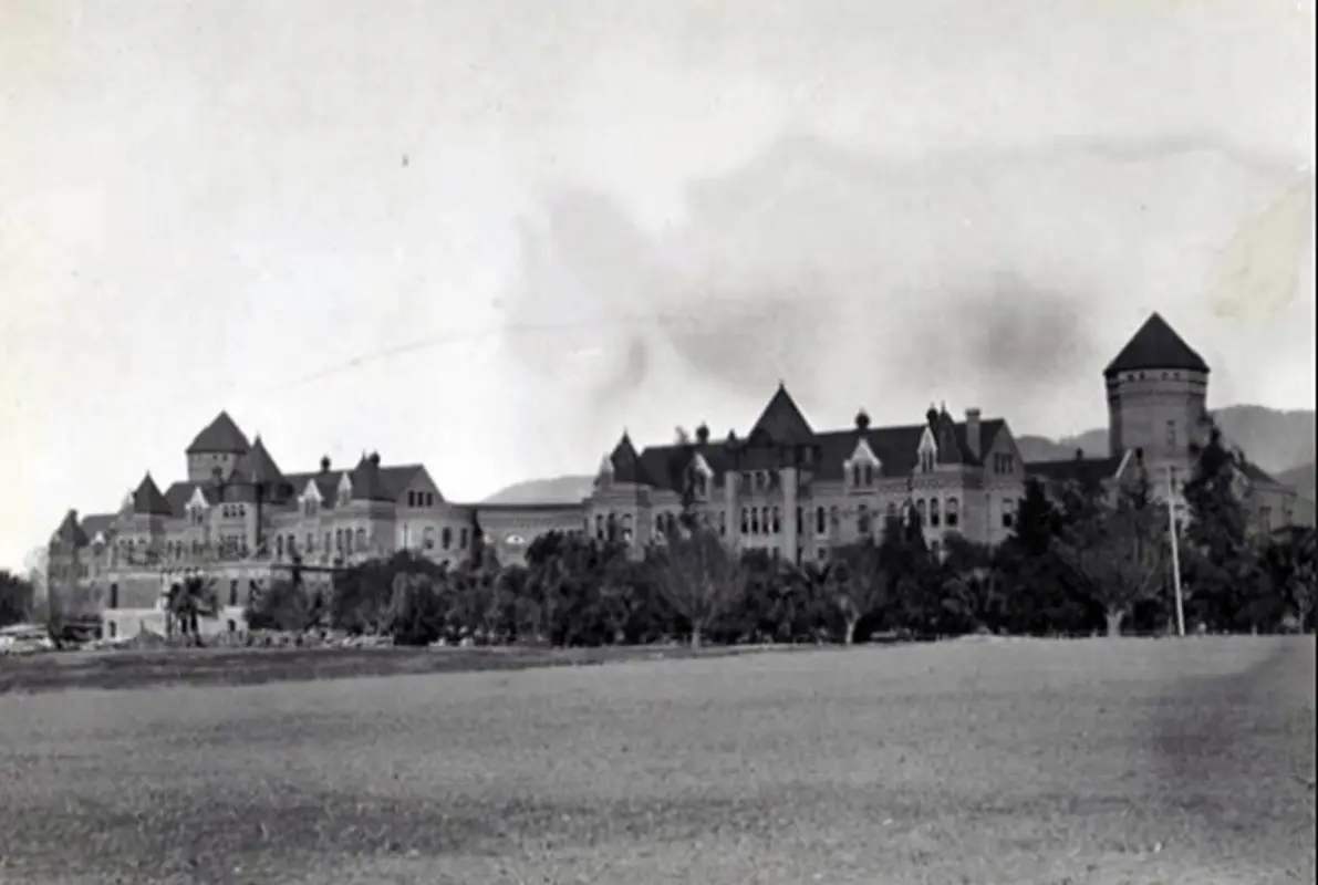 The Asylum