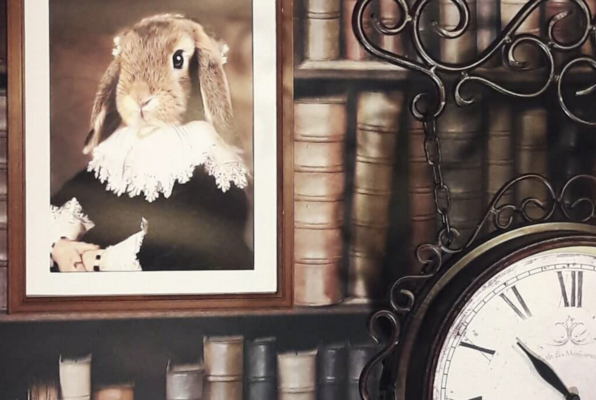 Escape from Wonderland