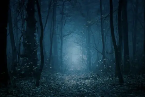 The Nightshadow’s Shroud (Worlds Away Escape) Escape Room
