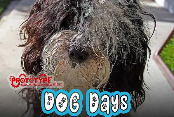 Dog Days (Prototype Escape Games) Escape Room