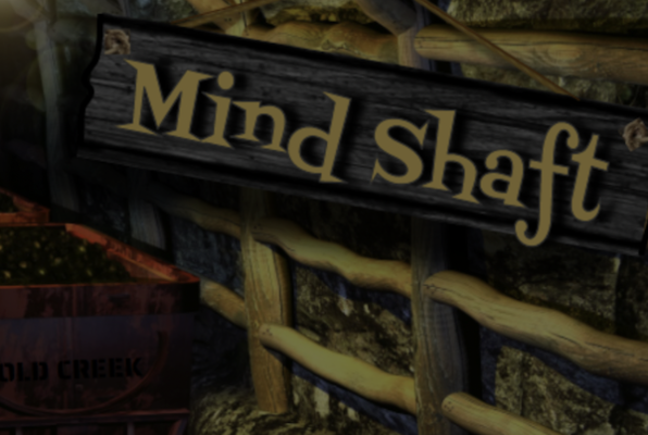 Mind Shaft (Ideal Escape Rooms) Escape Room