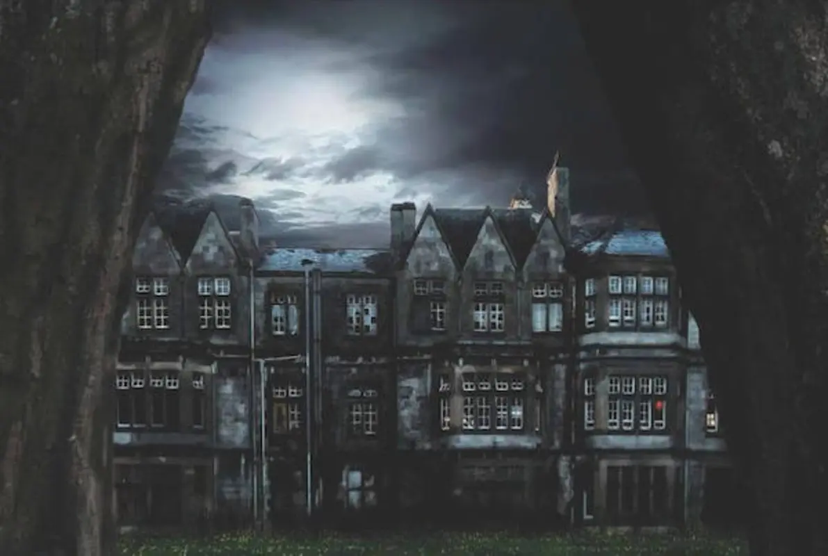 Asylum