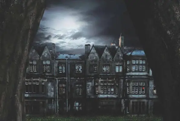 Asylum