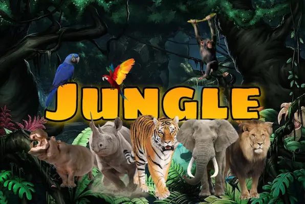 La Jungle (La Clef de l'Énigme) Escape Room
