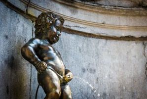 Квест Kamer van Manneken Pis