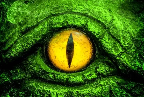 Amazonia (Escape Room Szczecin) Escape Room