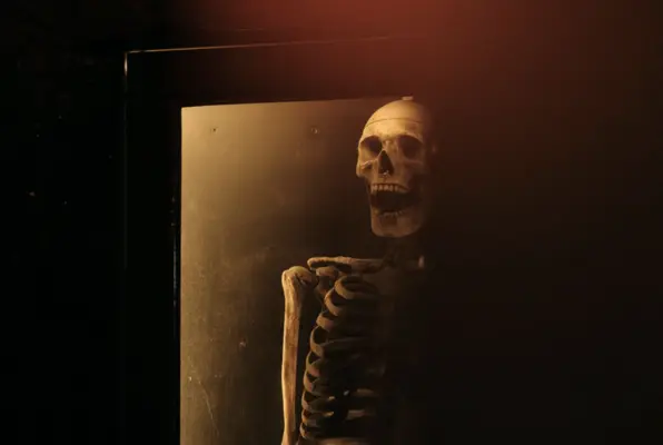 The Anatomist (Escape the Past) Escape Room