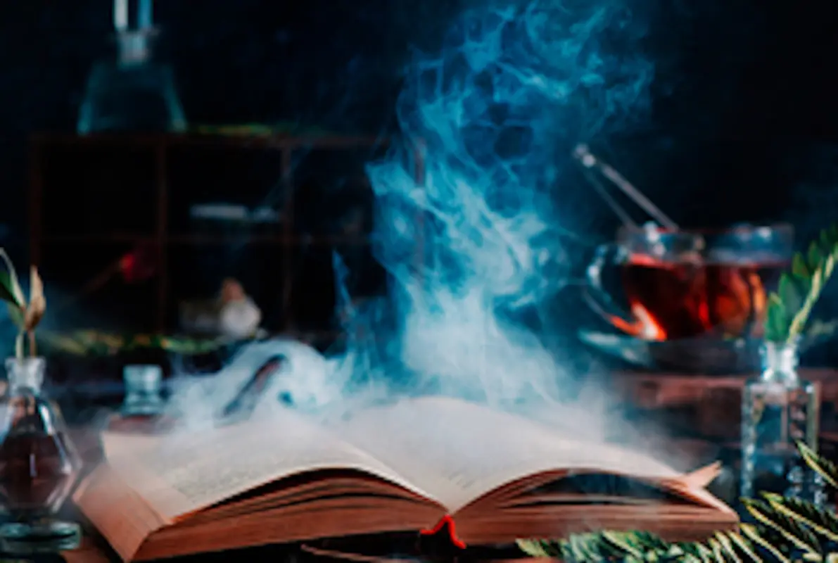 The Wizard School