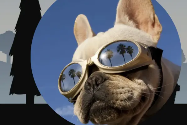 Dog Dayz (Escape Island) Escape Room