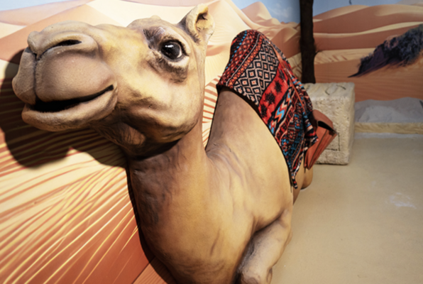 Götter Ägyptens (Scavenger Escape Salzburg) Escape Room