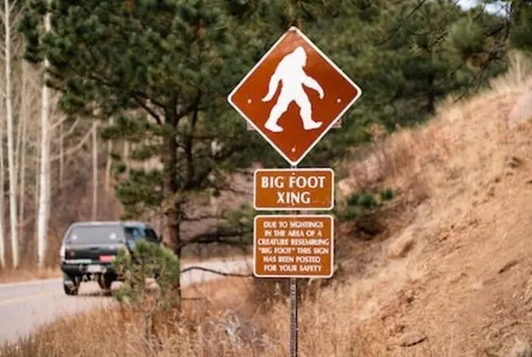Bigfoot Encounter