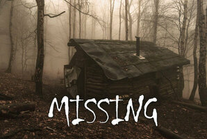 Квест Missing