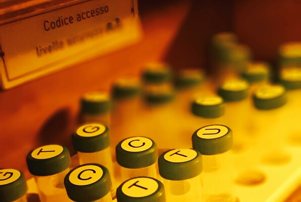 Progetto DNA (Escape Laboratory) Escape Room