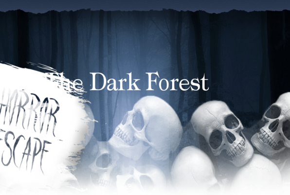 The Dark Forest